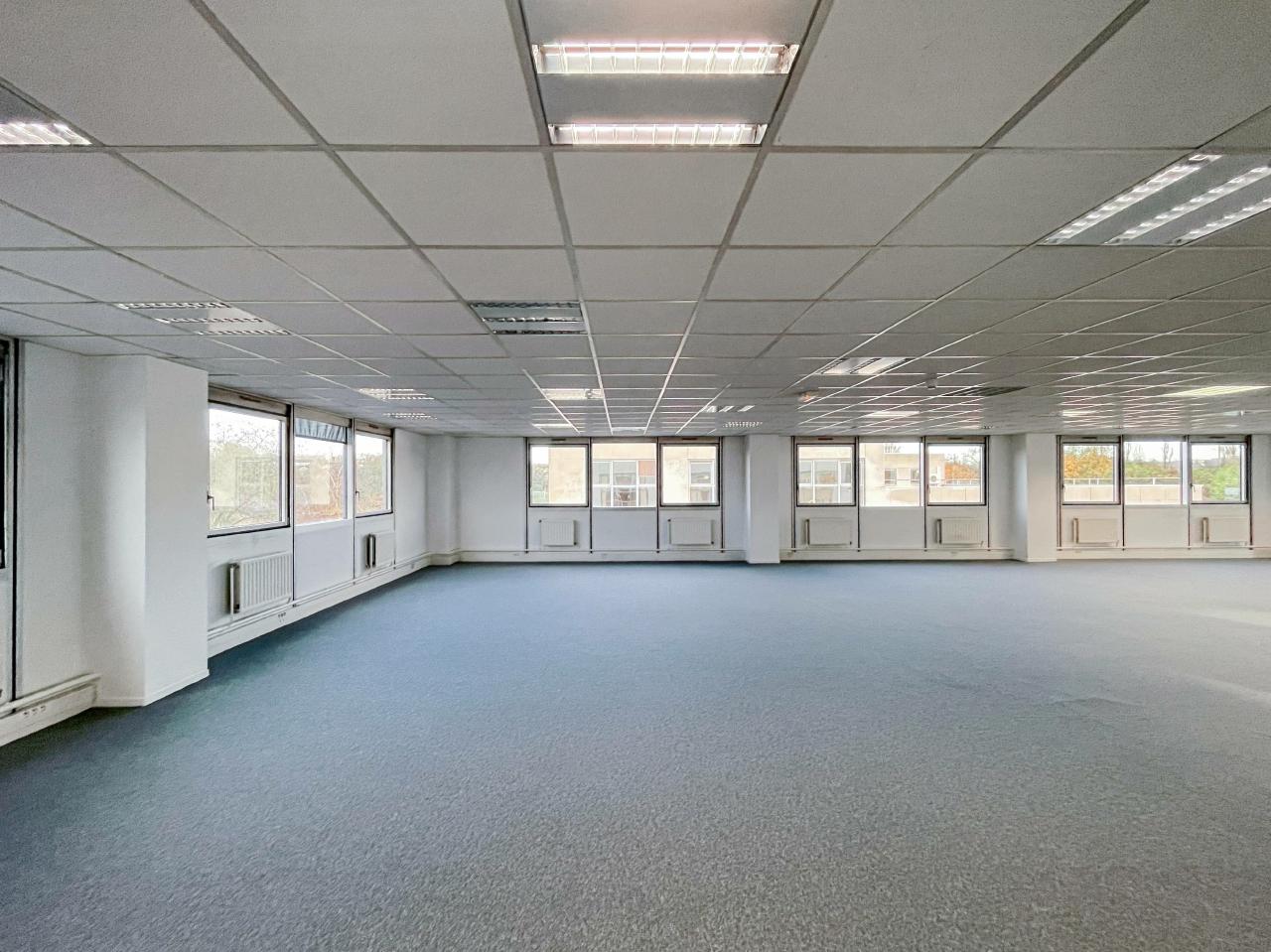 Bureau Fontenay-sous-Bois 299m² Location bureau Fontenay-sous-Bois Val-de-Marne OLBUR2107009 5